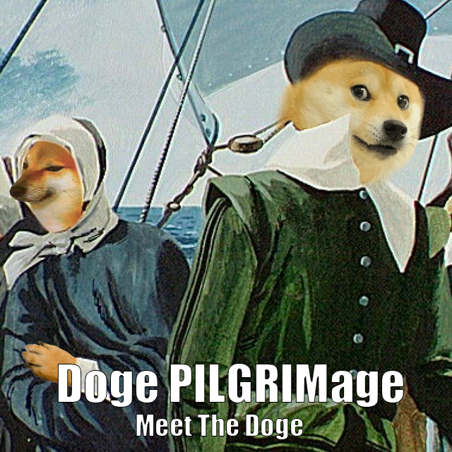 you with doge